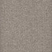 Curly Q - Boucle Upholstery Fabric - Swatch / Pebble - Revolution Upholstery Fabric