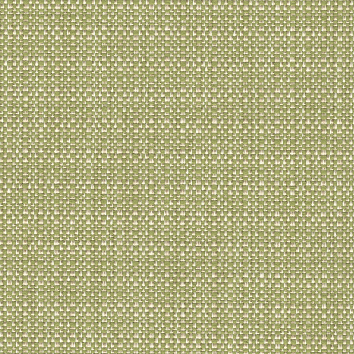 Willow Creek - Upholstery Performance Fabric -  - Revolution Upholstery Fabric