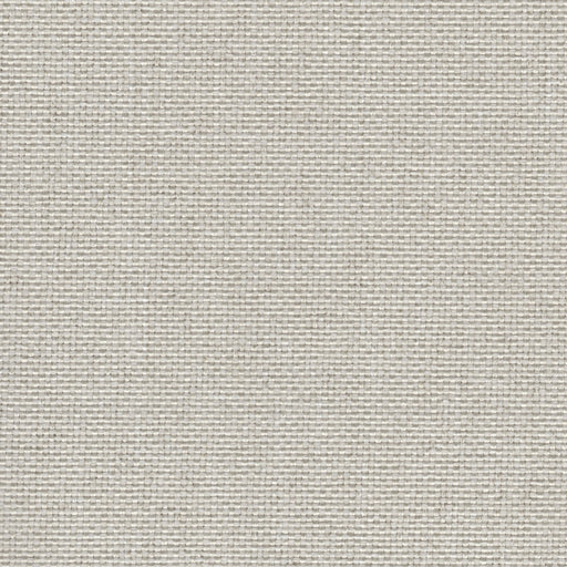 Rumba - Performance Outdoor Fabric - Swatch / rumba-natural - Revolution Upholstery Fabric