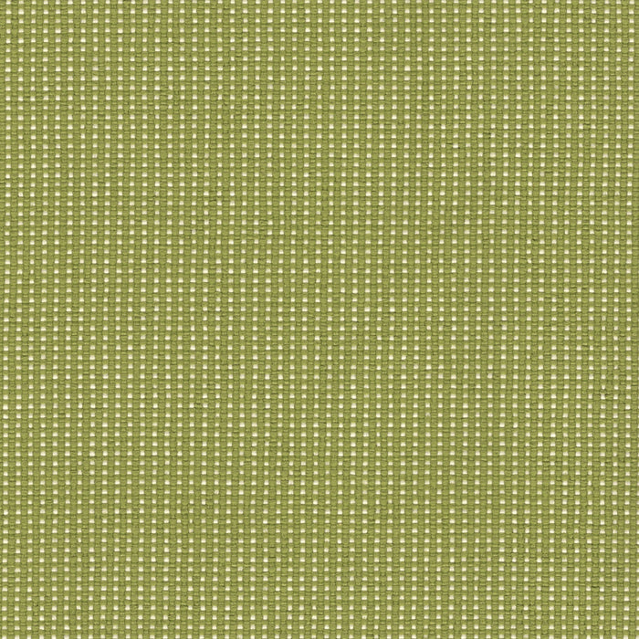 Bamboo Bay Outdoor Fabric - Swatch / Pear - Revolution Upholstery Fabric