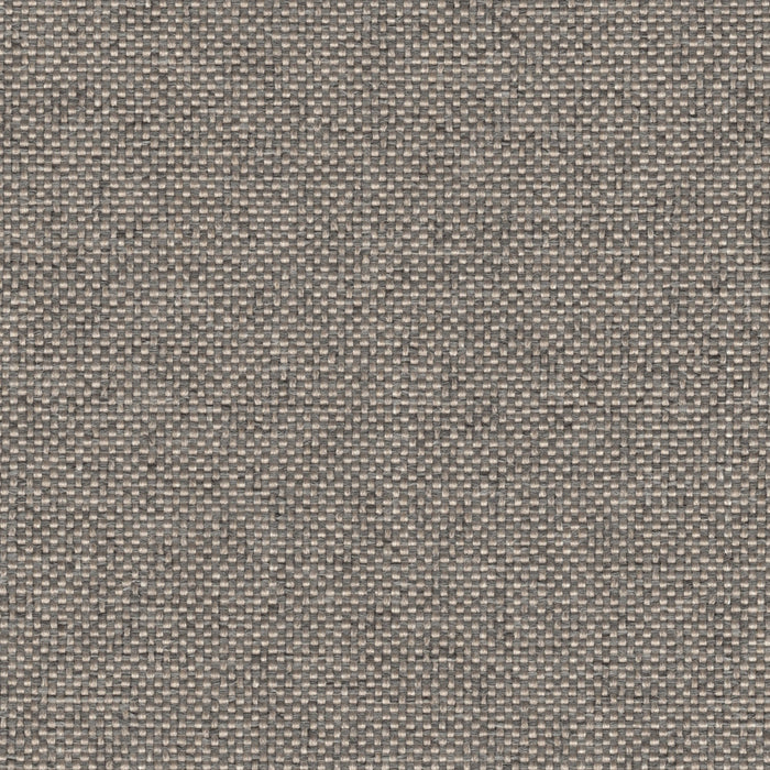 Rumba - Performance Outdoor Fabric - Swatch / rumba-platinum - Revolution Upholstery Fabric