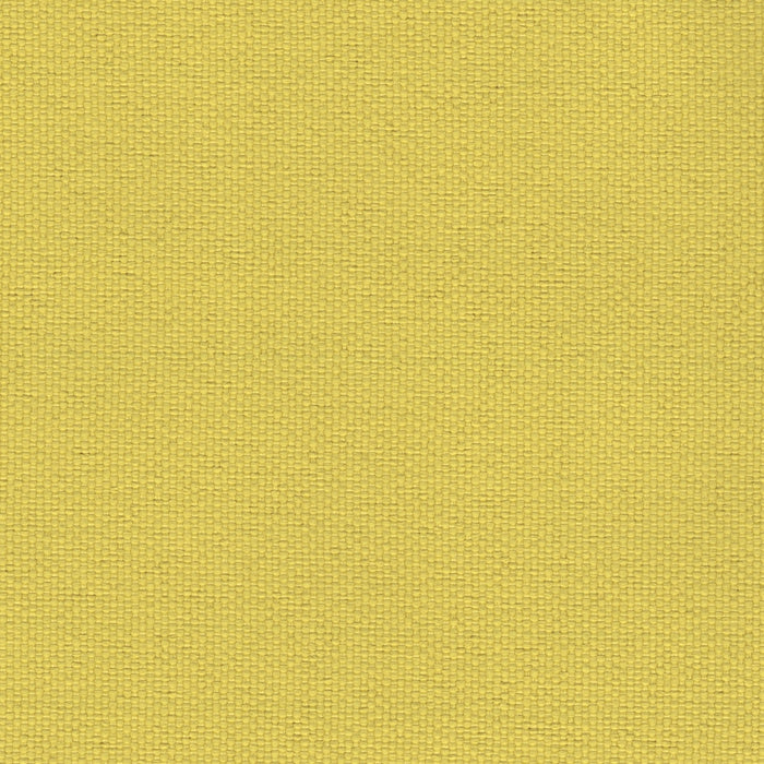 Brightside - Outdoor Upholstery Fabric - yard / Yellow - Revolution Upholstery Fabric