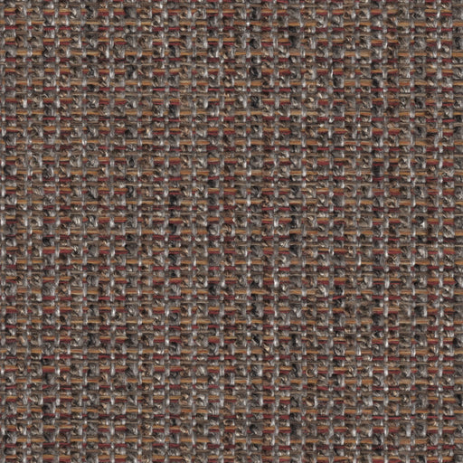 Twine and Twig- Revolution Performance Fabric - swatch / twineandtwig-autumn - Revolution Upholstery Fabric