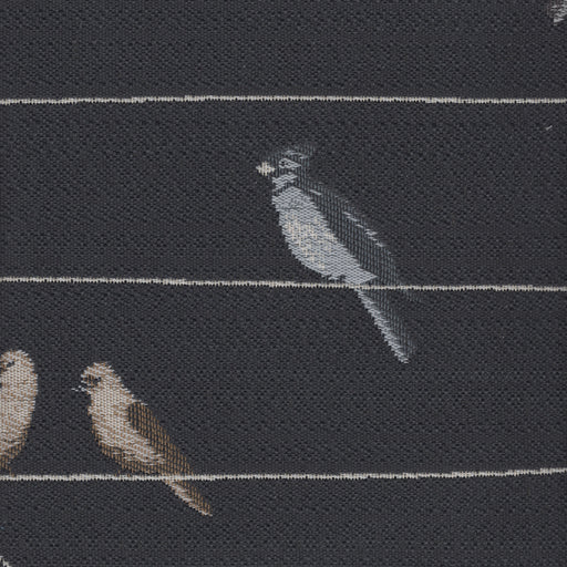 Bird on a Wire - Jacquard Upholstery Fabric - Swatch / Slate - Revolution Upholstery Fabric