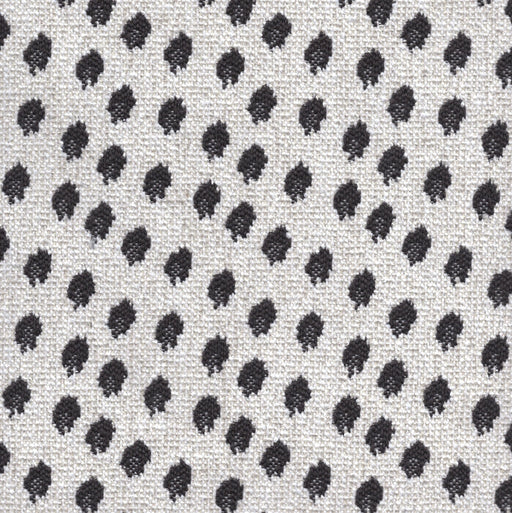 Spottie Dottie- Jacquard Upholstery Fabric - Yard / Carbon - Revolution Upholstery Fabric