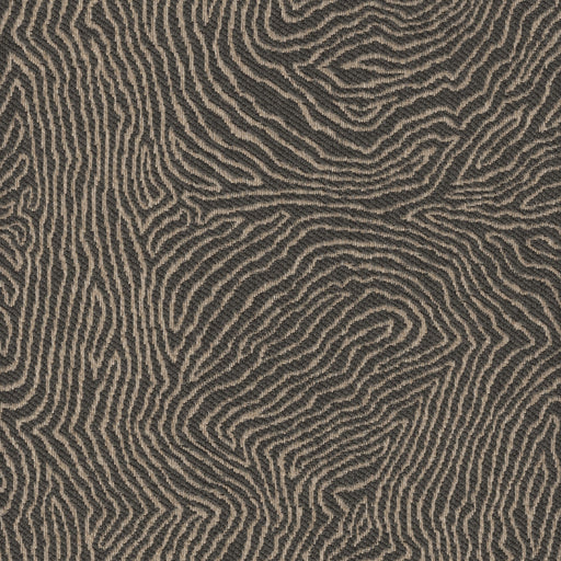 Tangle - Revolution Plus Performance Fabric - yard / tangle-charcoal - Revolution Upholstery Fabric