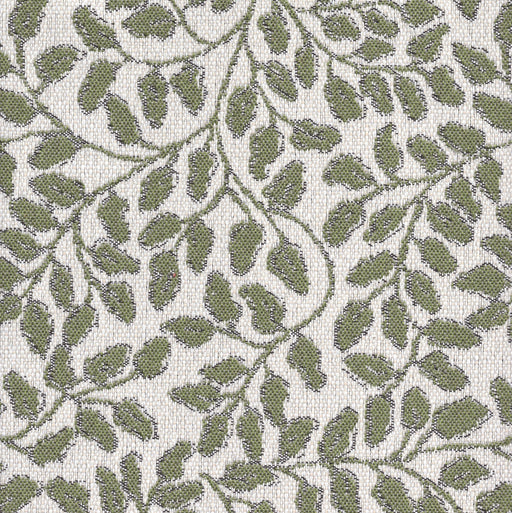 Climbing Vine - Yard / Pine - Revolution Upholstery Fabric