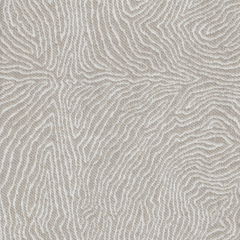 Tangle - Revolution Plus Performance Fabric - yard / tangle-cream - Revolution Upholstery Fabric