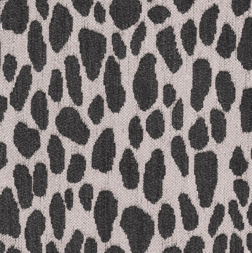 Winging It - Jacquard Upholstery Fabric - Discontinued - Yard / Ebony - Revolution Upholstery Fabric