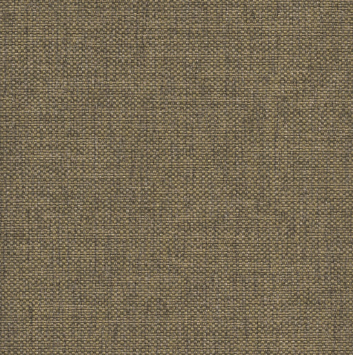 Hailey - Performance Upholstery Fabric - Yard / Fern - Revolution Upholstery Fabric