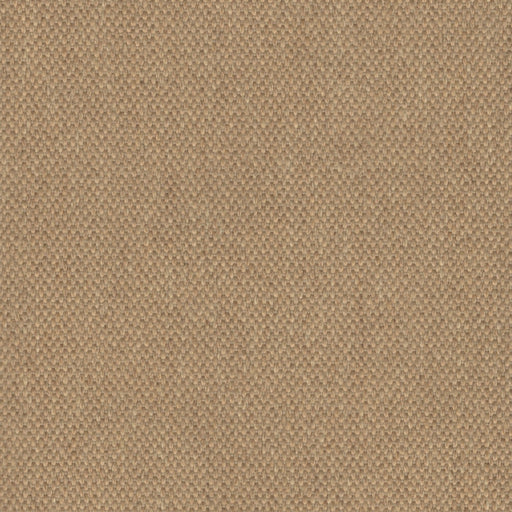 Hayden - Outdoor Fabric - Yard / Sand - Revolution Upholstery Fabric
