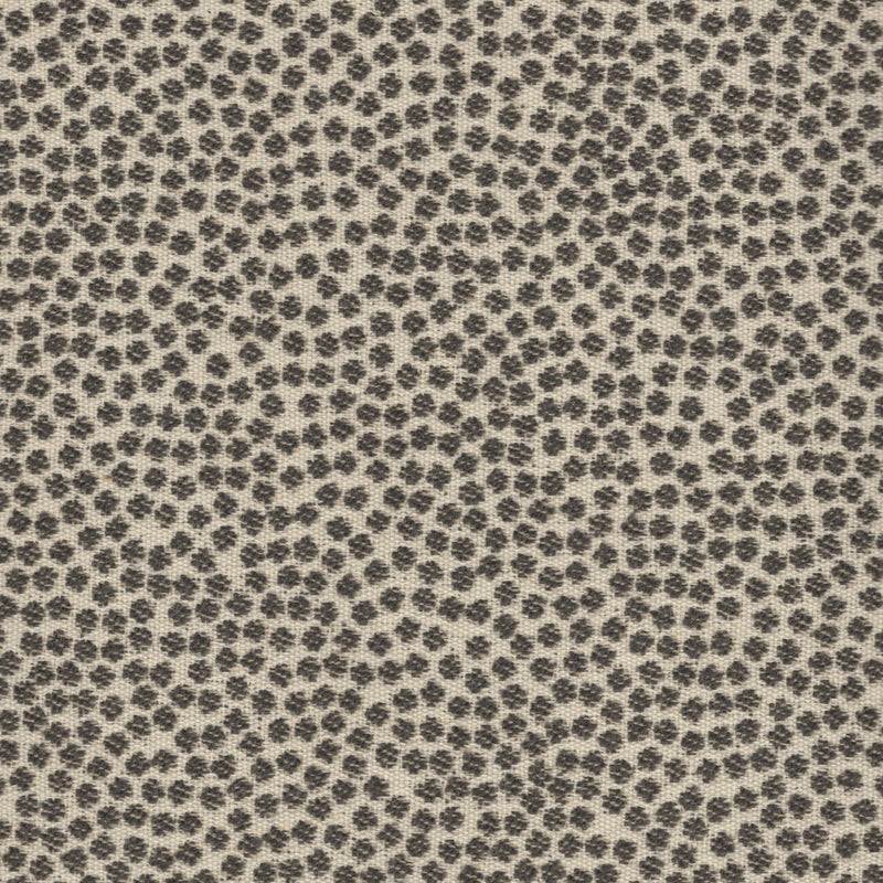 Kit Cat - Outdoor Fabric - Swatch / Charcoal - Revolution Upholstery Fabric
