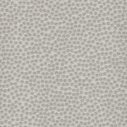 Kit Cat - Outdoor Fabric - Swatch / Light Gray - Revolution Upholstery Fabric
