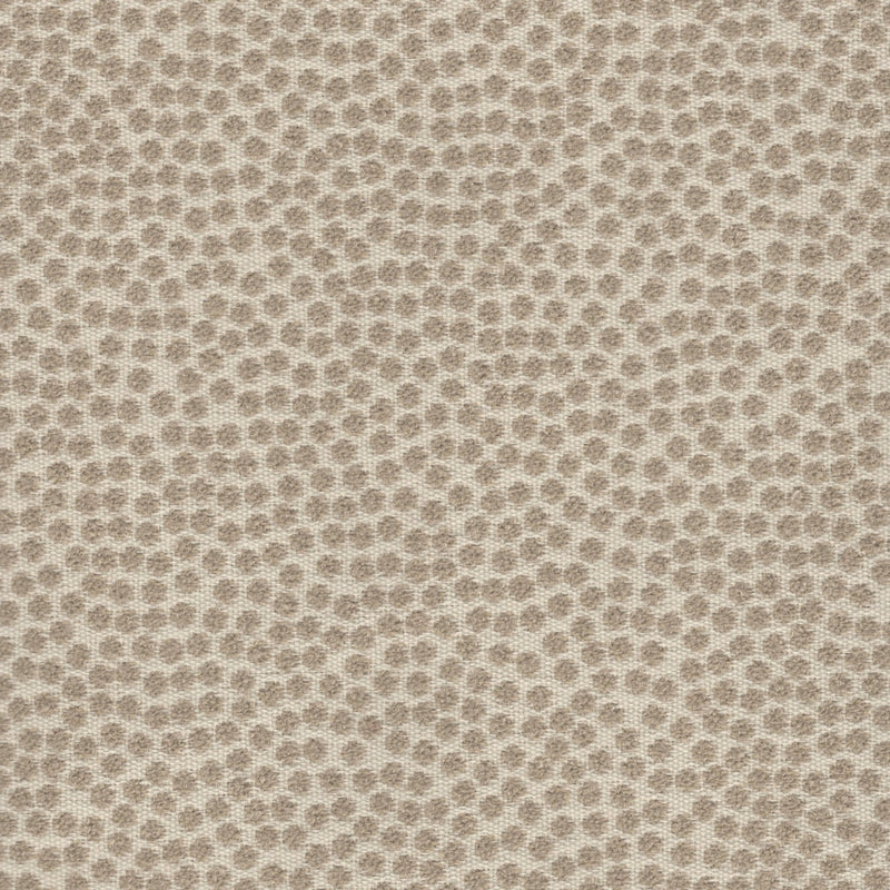 Kit Cat - Outdoor Fabric - Swatch / Taupe - Revolution Upholstery Fabric