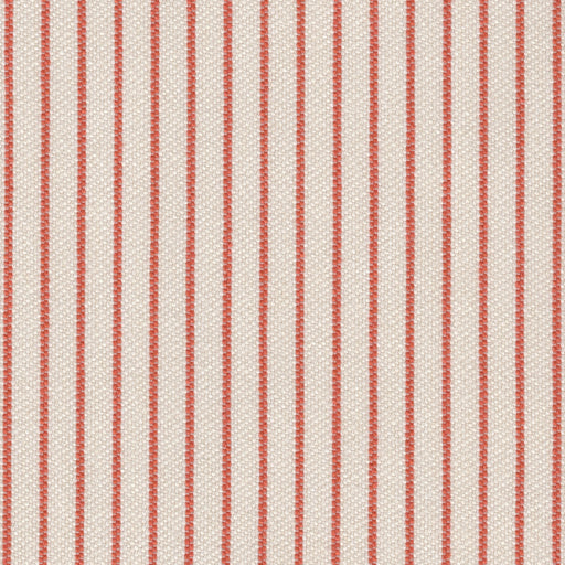Optimum - Machine Washable Performance Fabric - Yard / Mango - Revolution Upholstery Fabric