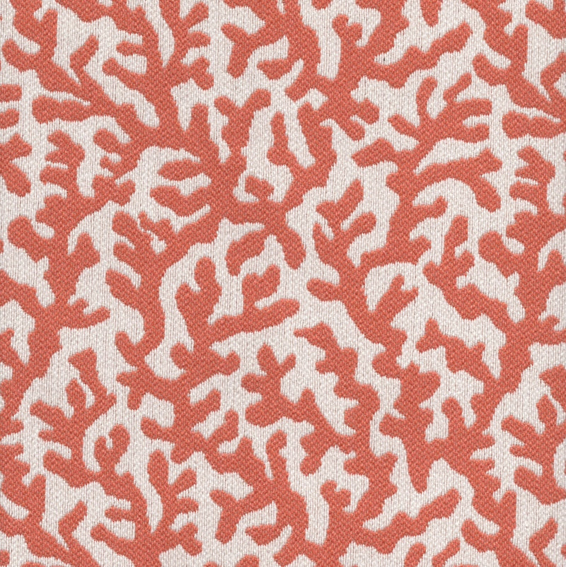 Sponge - Jacquard Upholstery Fabric - yard / sponge-mango - Revolution Upholstery Fabric
