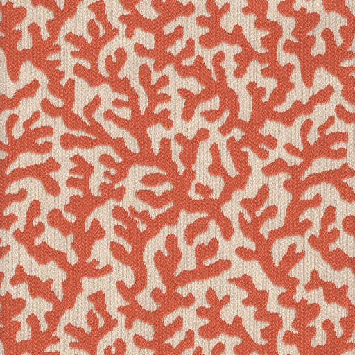 Sponge - Jacquard Upholstery Fabric - Discontinued - yard / sponge-mango - Revolution Upholstery Fabric