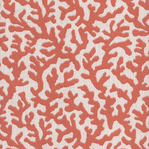 Sponge - Jacquard Upholstery Fabric - yard / sponge-mango - Revolution Upholstery Fabric