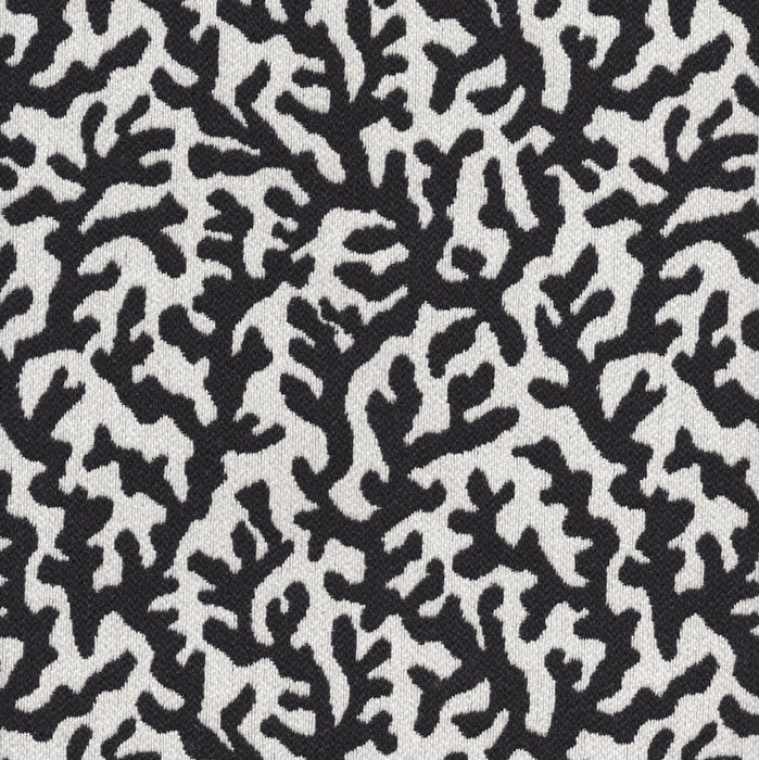 Sponge - Jacquard Upholstery Fabric - Discontinued - yard / sponge-onyx - Revolution Upholstery Fabric