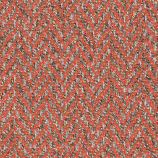 Berber - Performance Upholstery Fabric - Discontinued - yard / Orange - Revolution Upholstery Fabric
