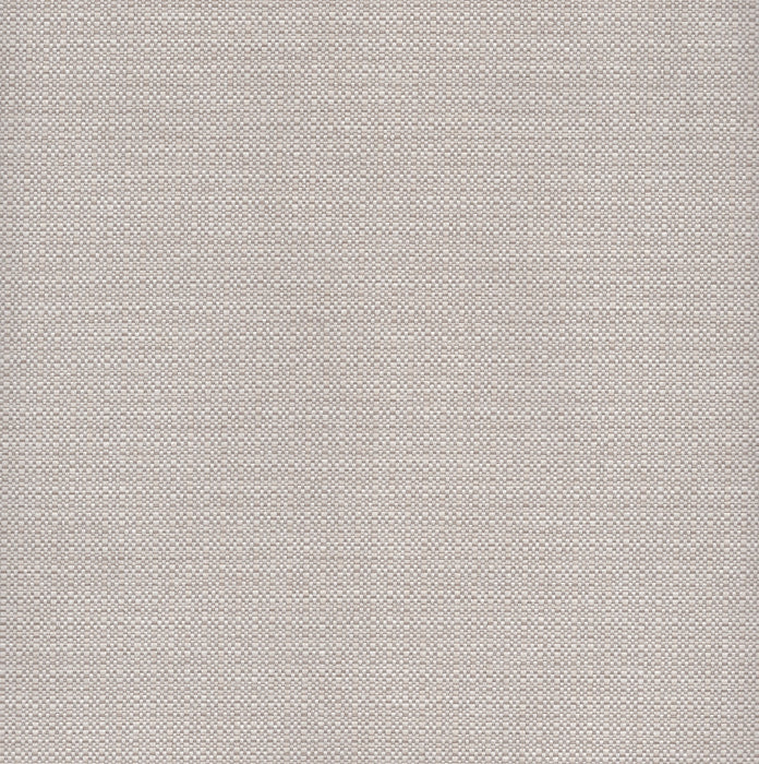 Phoenician - Revolution Plus Performance Fabric - yard / phoenician-vanilla - Revolution Upholstery Fabric