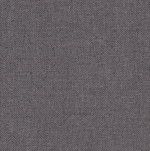 Rumba - Performance Outdoor Fabric - Yard / rumba-carbon - Revolution Upholstery Fabric
