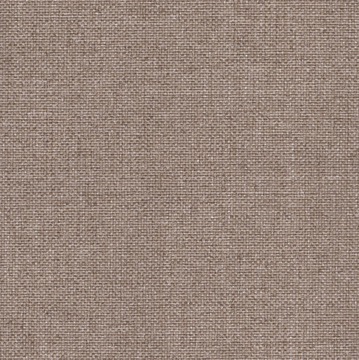 Rumba - Performance Outdoor Fabric - Yard / rumba-mushroom - Revolution Upholstery Fabric