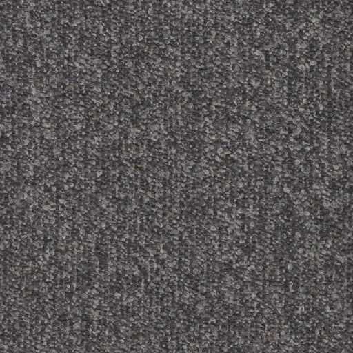 Curly Q - Boucle Upholstery Fabric - Yard / Slate - Revolution Upholstery Fabric