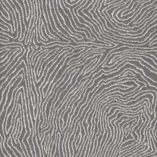 Tangle - Revolution Plus Performance Fabric - yard / tangle-smoke - Revolution Upholstery Fabric