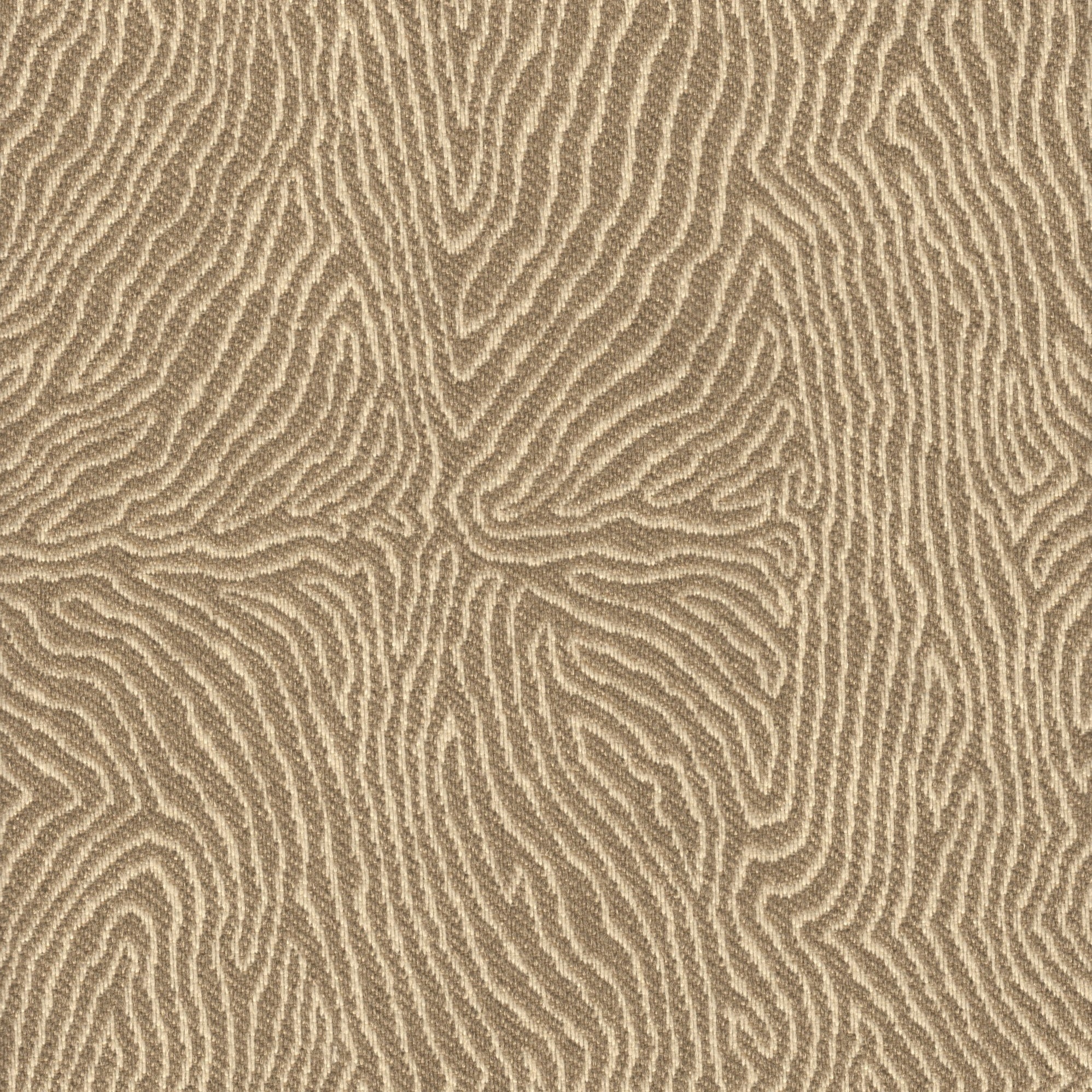 Abstract Patterns — Revolution Fabrics