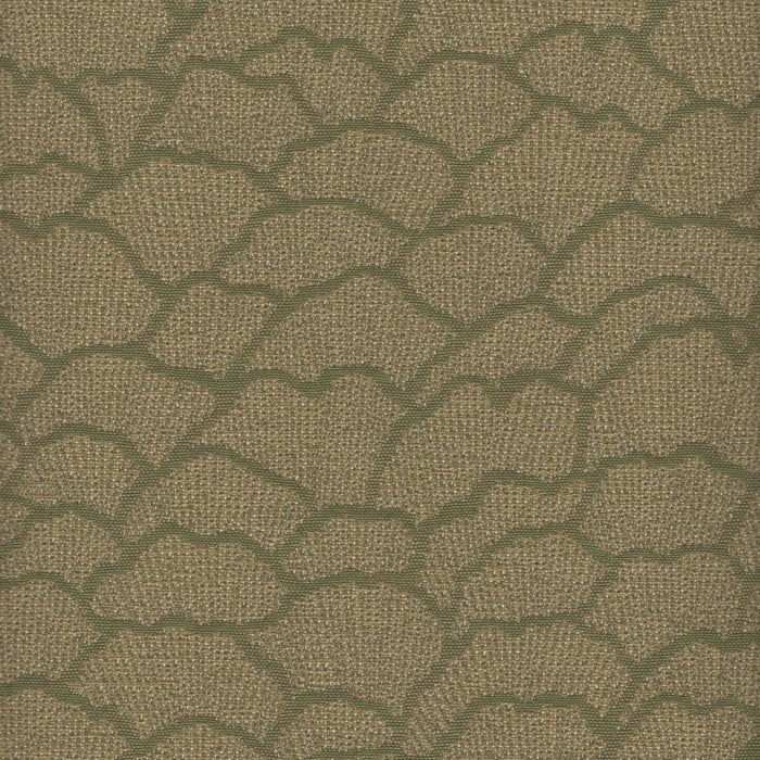 Leafing Out - Jacquard Upholstery Fabric - Swatch / Thyme - Revolution Upholstery Fabric