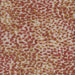 Waverly - Swatch / Fawn - Revolution Upholstery Fabric