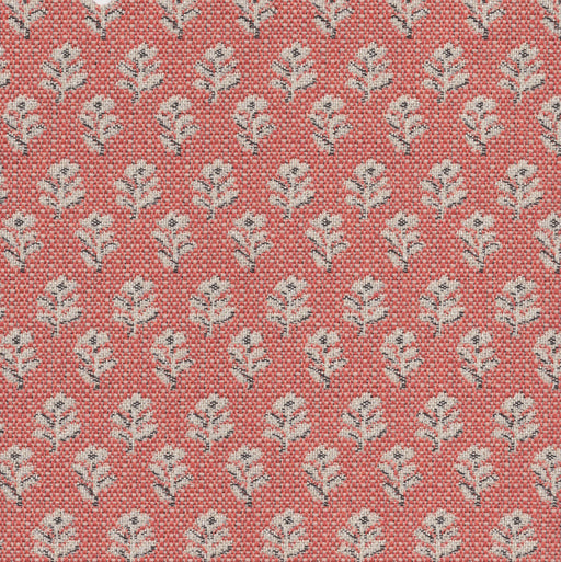 Whimsy - Swatch / Persimmon - Revolution Upholstery Fabric