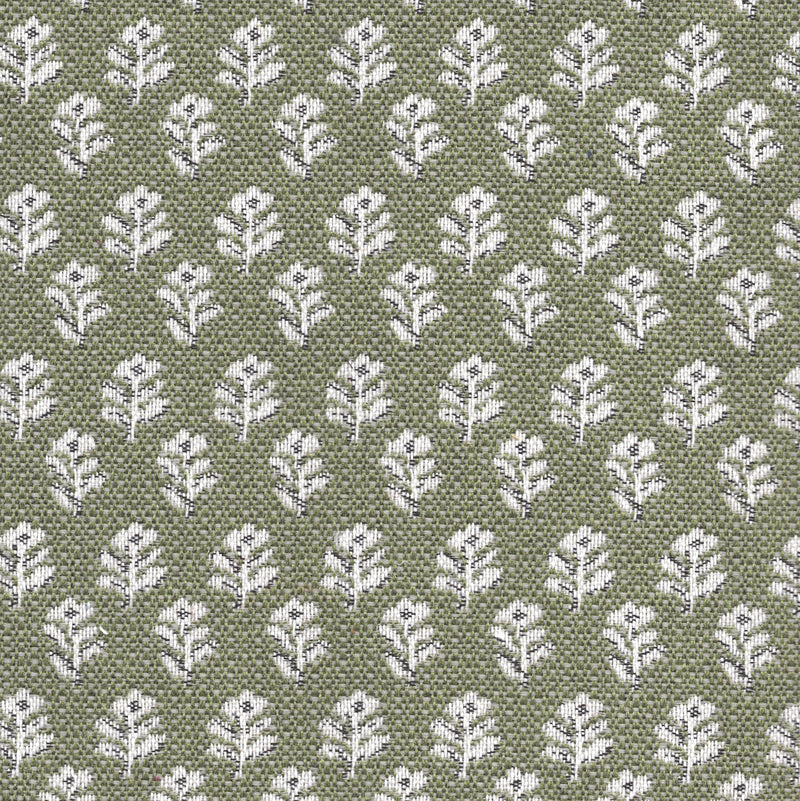 Whimsy - Swatch / Pine - Revolution Upholstery Fabric