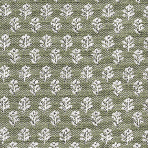 Whimsy - Swatch / Pine - Revolution Upholstery Fabric