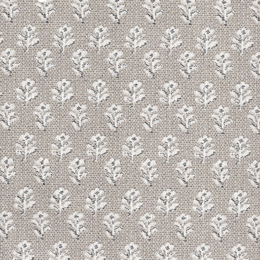 Whimsy - Swatch / Slate - Revolution Upholstery Fabric