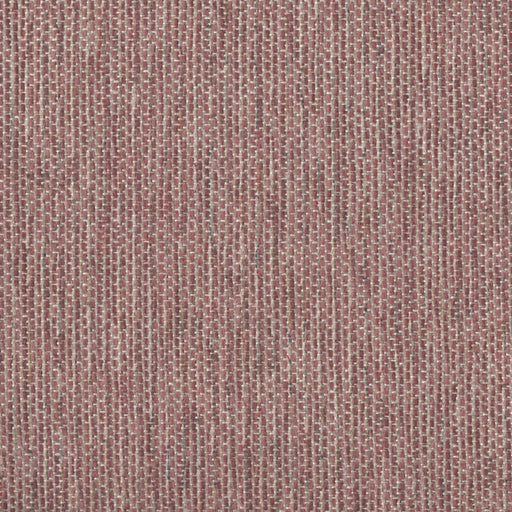 Whisper - Performance Upholstery Fabric - Yard / Dusty - Revolution Upholstery Fabric