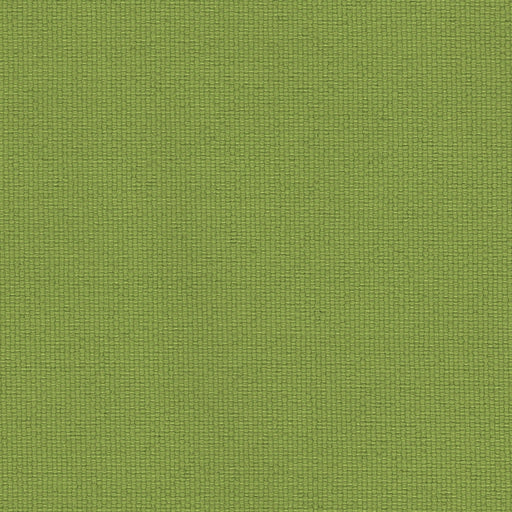 Brightside - Outdoor Upholstery Fabric - yard / Apple - Revolution Upholstery Fabric
