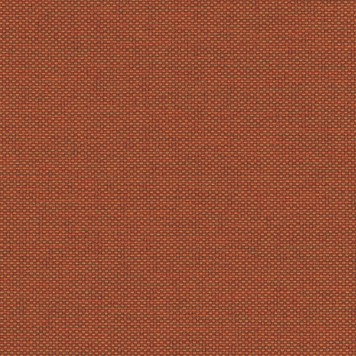 Love Boat - Outdoor Upholstery Fabric - Yard / Canyon - Revolution Upholstery Fabric