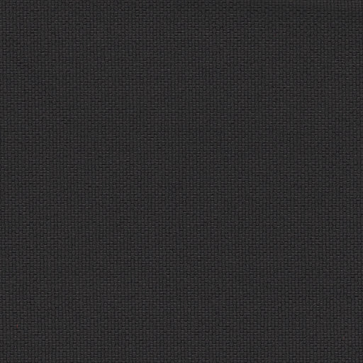 Brightside - Outdoor Upholstery Fabric - yard / Carbon - Revolution Upholstery Fabric