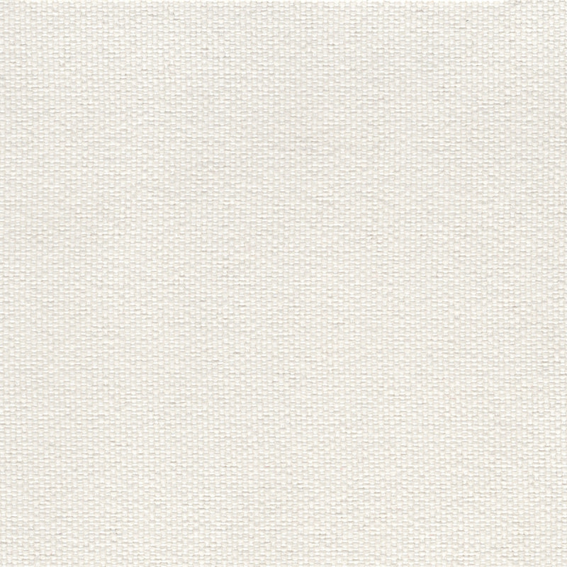 Brightside - Outdoor Upholstery Fabric - yard / Chalk - Revolution Upholstery Fabric