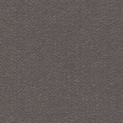 Pizzazz - Outdoor Upholstery Fabric - Yard / Charcoal - Revolution Upholstery Fabric