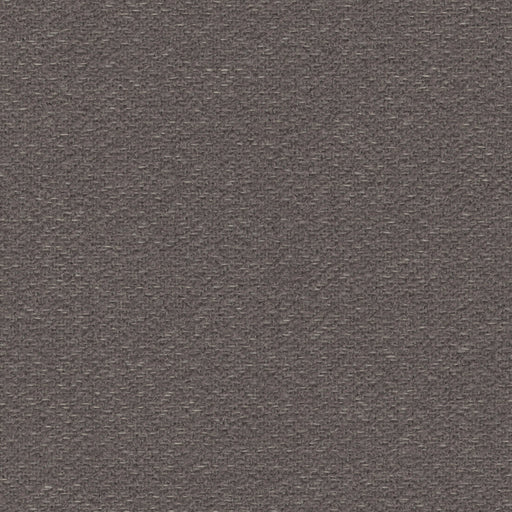 Pizzazz - Outdoor Upholstery Fabric - Yard / Charcoal - Revolution Upholstery Fabric