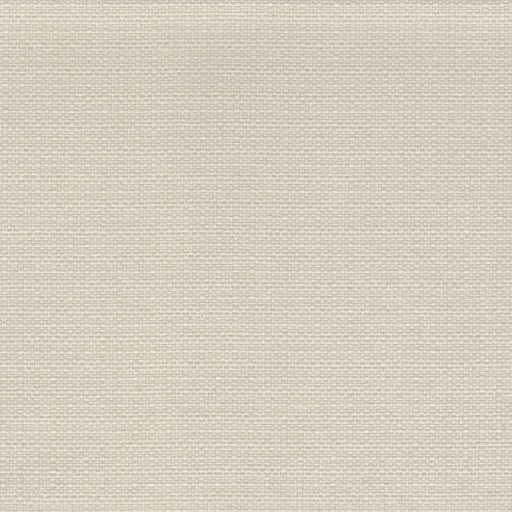 Sixpence - Outdoor Washable Performance Fabric - Yard / Cream - Revolution Upholstery Fabric