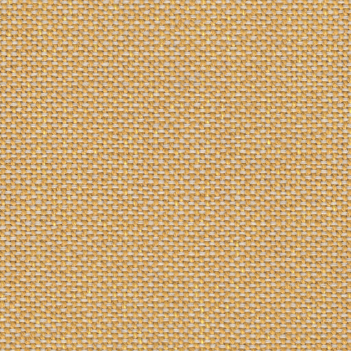 Santos - Outdoor Boucle Upholstery Fabric - Yard / Lemon - Revolution Upholstery Fabric