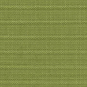 Nude Beach - Performance Outdoor Fabric - yard / Apple - Revolution Upholstery Fabric