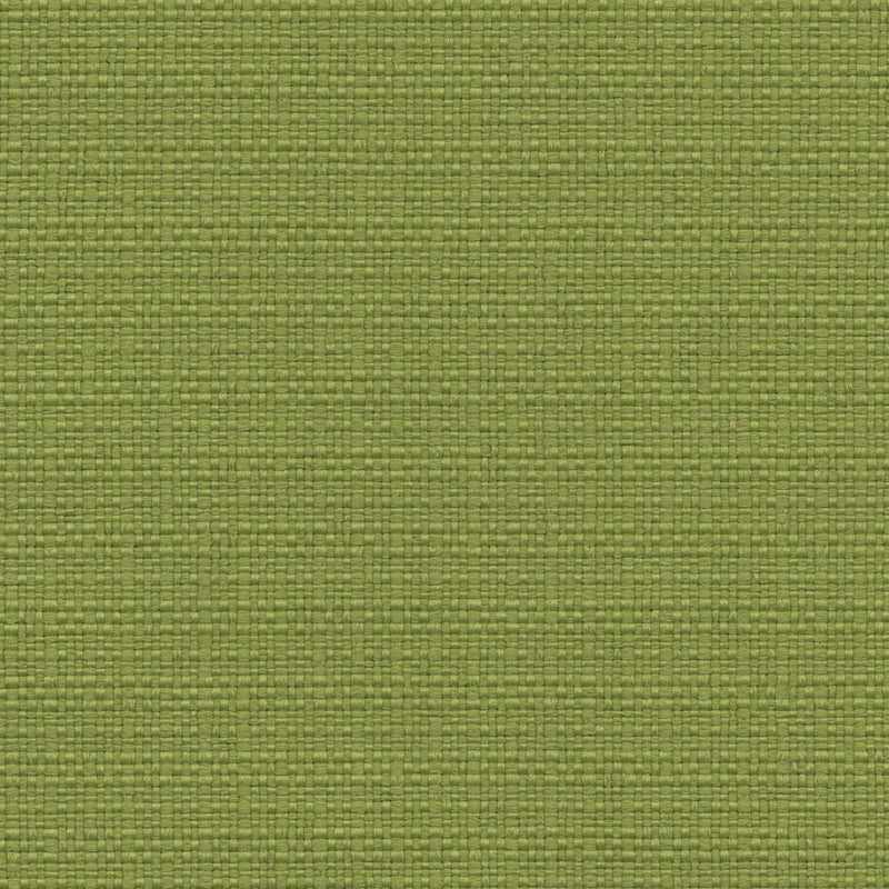 Nude Beach - Performance Outdoor Fabric - yard / Apple - Revolution Upholstery Fabric