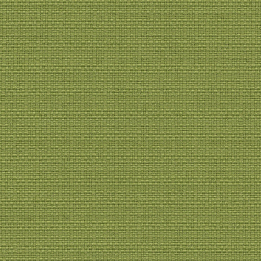 Nude Beach - Performance Outdoor Fabric - yard / Apple - Revolution Upholstery Fabric