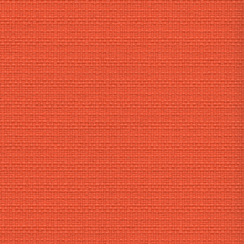 Nude Beach - Performance Outdoor Fabric - Discontinued - yard / Orange - Revolution Upholstery Fabric