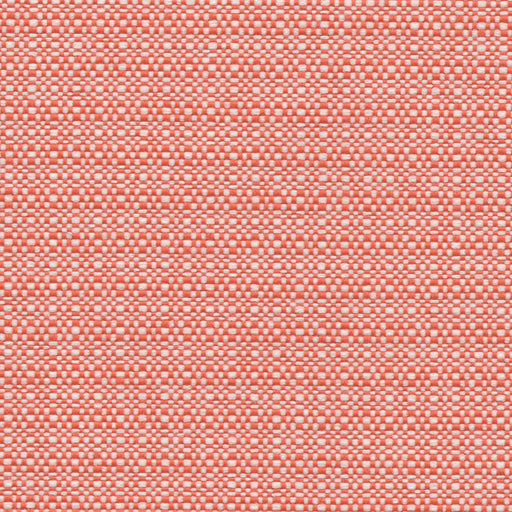 Nude Beach - Performance Outdoor Fabric - yard / Sherbert - Revolution Upholstery Fabric